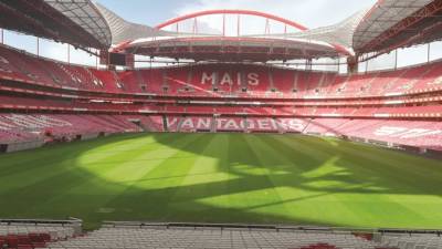 Benfica, ainda desfalcado, ‘testou’ novo relvado da Luz